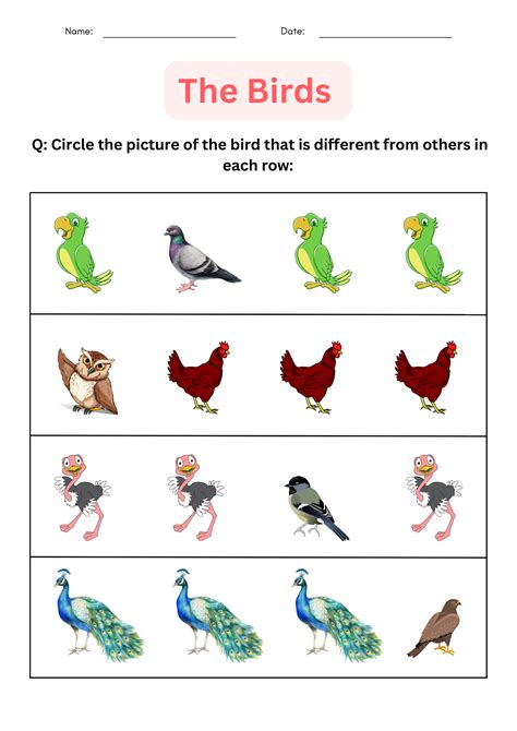 Printable Matching And Identify Birds Worksheet For Kindergarten Made