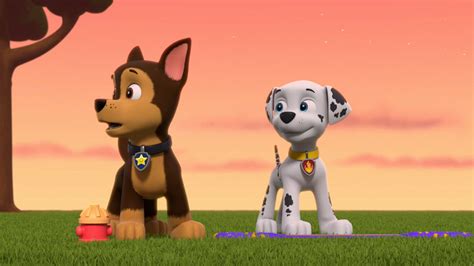 Paw Patrol Season 8 Episode 21 By Karllthorn On Deviantart