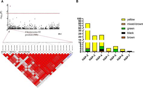 Frontiers Identification Of Candidate Genes For Soybean Seed Coat