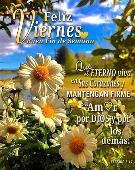 Pin De Irina Villela En Viernes Buenos Dias Viernes Frases Feliz