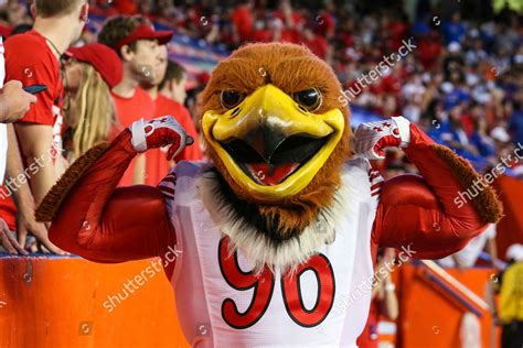 Swoop Redtailed Hawk Mascot Utah Utes Editorial Stock Photo Stock