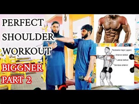 Best Shoulders Exercises Top Shoulders Workout For Beginners YouTube