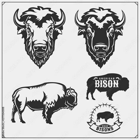 Set Of Vector Bison Silhouettes And Illustration Print Design For T