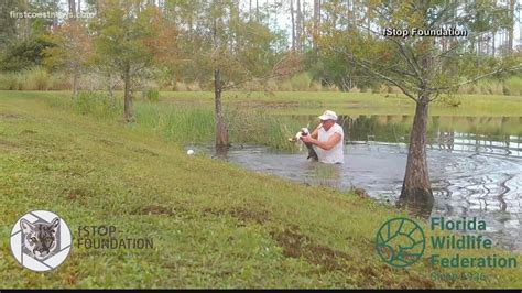 Florida Man Jumps Into Pond Wrestles Alligator To Save Puppy