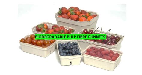 Wholesale Catering Products Suppliers B And P Wholesale