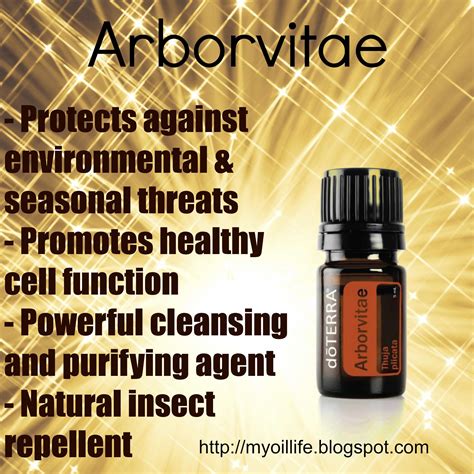 Introducing DoTerra Arborvitae Oil