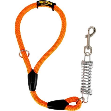 Laisse Pour Chien Amortisseur Anti Traction Pour Chiens De Taille