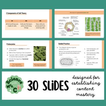 Cell Theory Google Slides Lesson For Aice As Level Biology Tpt