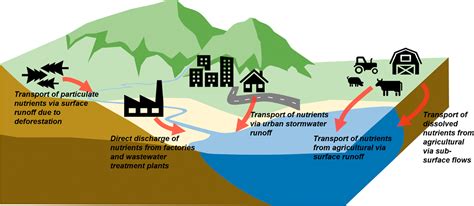 Agricultural Runoff Diagram