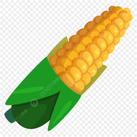 Corn Vector Art Png Vector Corn Corn Agriculture Png Image For Free