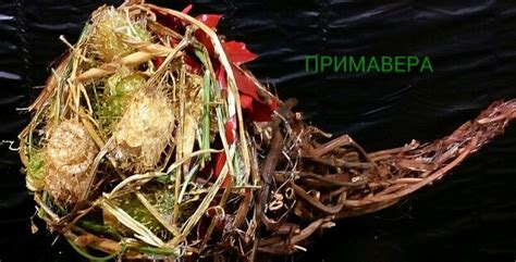 Осенниеформы | Флористика