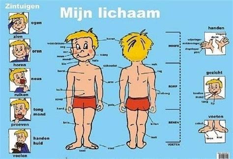 Klik Op De Pijlen Voor Filmpjes Of Liedjes Deze Plaat Is Afkomstig Van