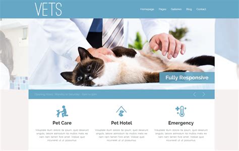 Dise O Web Para Centros Veterinarios