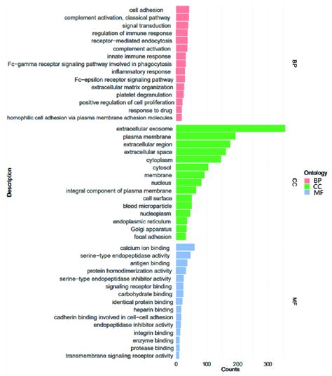 Gene Ontology Go Annotation Of Differential Proteins Which Were Download Scientific Diagram