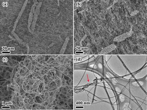 The Morphology Of The CNTs GNFs A B Low Magnification SEM Images