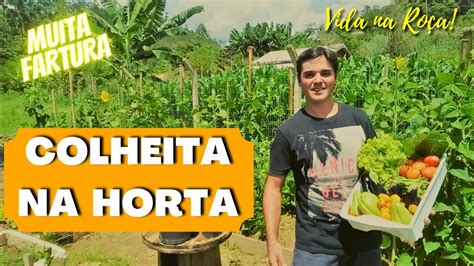 Fartura Aqui No S Tio Fiz Uma Colheita Na Minha Horta E Mandei Abra Os