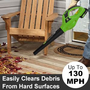 Amazon Leisch Life Cordless Leaf Blower Battery Operated V