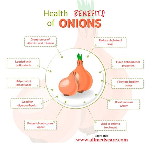 Health Benefits Of Onions Onions Nutrients Infographic Te Flickr