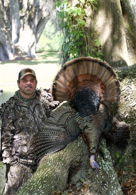 Tickets For Florida Osceola Turkey Hunt With Terry Rohm Turkeys For