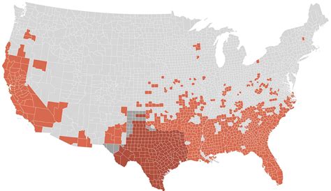 Can Anything Stop The Feral Hog Invasion