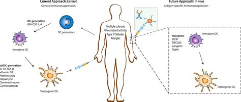 Frontiers Nanoparticle Based Drug Delivery Systems For Induction Of