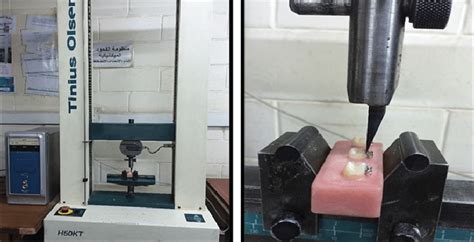 The Sample Fixed To The Universal Testing Machine To Test The Shear Download Scientific Diagram