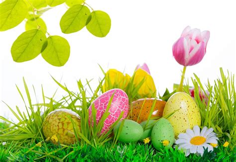 Spring And Easter Wallpapers - Wallpaper Cave