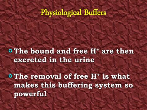 Anatomy And Physiology I Unit Two Ppt Download