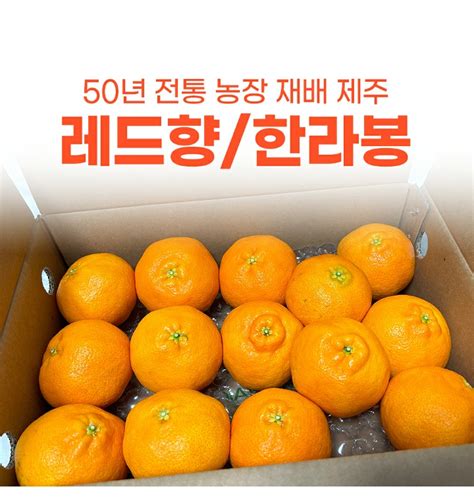 제주 레드향 한라봉 혼합 1kg 대과 가정용 제철 농장 티몬