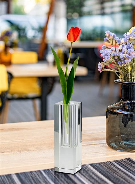 Modern Glass Vase