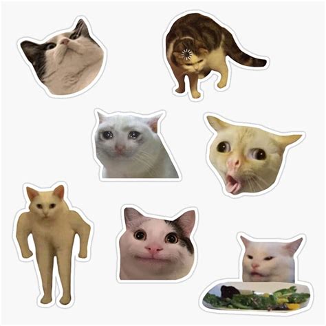 High Cat Meme