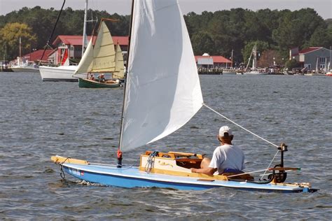 Earwigoagin Sunfish Frankenboat The Solar Fish