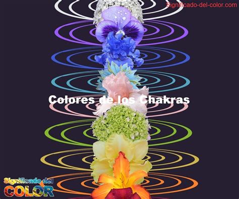 Los Colores De Los Chakras Y Su Simbolismo