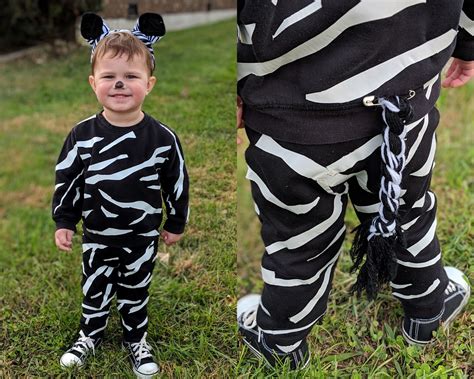 Easy Diy Zebra Costume