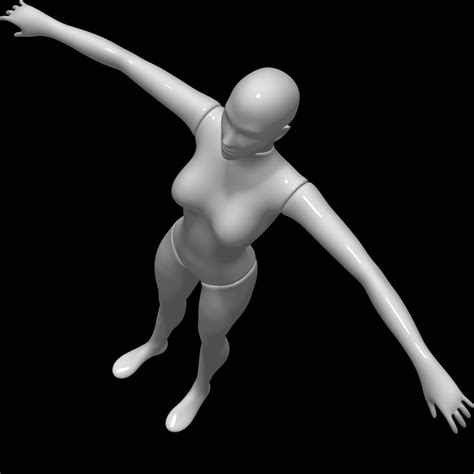 Mannequin Female 3d Model 9 Obj Ztl 3ds C4d Fbx Ma Max Free3d