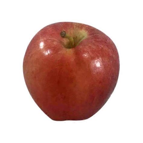 Gala Apples (each) - Instacart