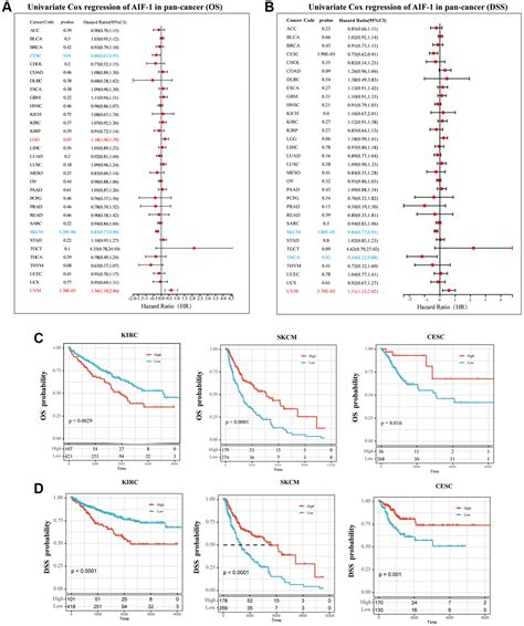 Allograft Inflammatory Factor 1 Is A Potential Diagnostic