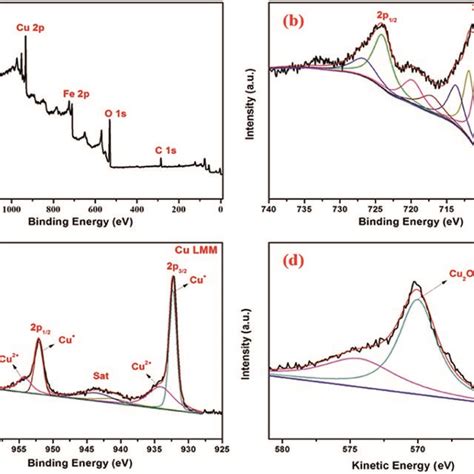 Xps Spectra Of Core Shell Fe3o4cu2o Nanomaterial A Survey Spectrum