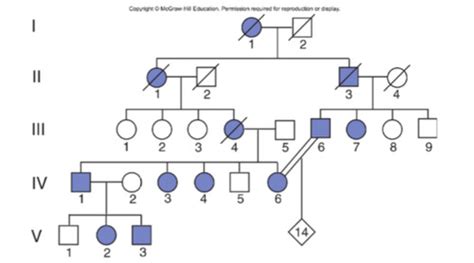 Genetics Final Exam Cumulative Flashcards Quizlet