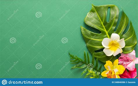 Exotic Tropical Summer Background Summer Beach Party Concept Tropical