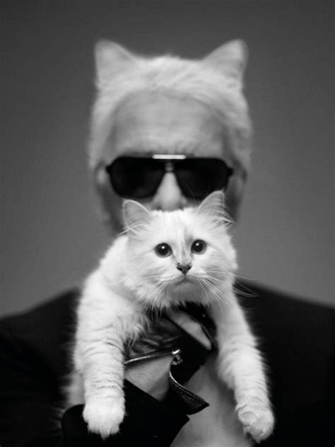 Choupette Lagerfeld, the fanciest cat in fashion - Love Swah