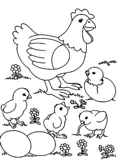 Chicken Coloring Pages