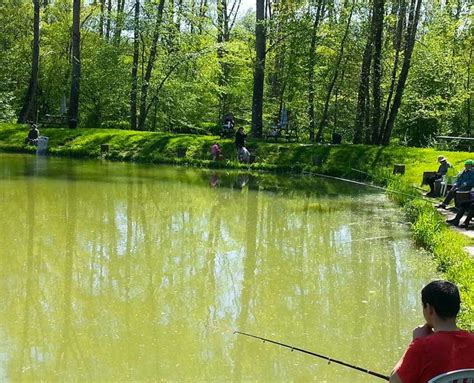 Au Petit Pêcheur du Moulin Plateau est le meilleur endroit près de