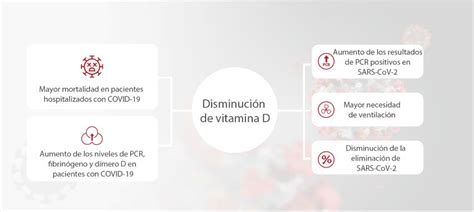 Correlación entre vitamina D y COVID 19 Mindray