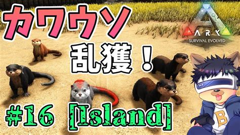 16 【arkthe Island】【ゆっくり実況】可愛いカワウソを乱獲！夏イベカラー個体もゲット！【pc版ローカルark