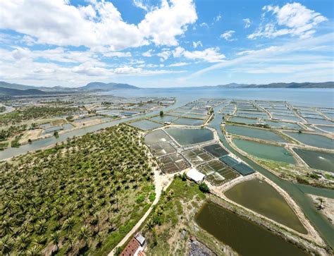 How to Start Shrimp Farming - The Web Tribune