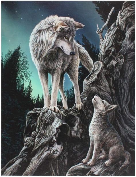 Fantastic Anne Stokes Design Winter Guardian Canvas Wall Plaque White