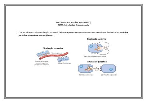 Gabarito tabela introdução a Endocrinologia ROTEIRO DE AULA PRÁTICA