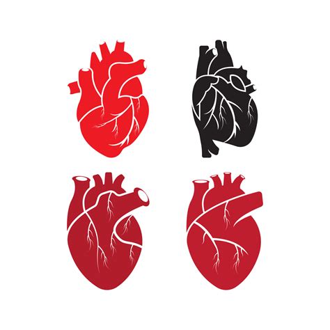 Human heart logo medical cardiology vector icon illustration 16222885 ...