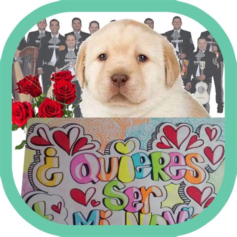 Stickers De ¿quieres Ser Mi Novia Wistickers